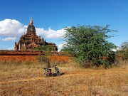 306  exploring the temples of Bagan.jpg